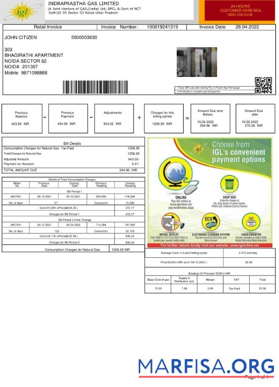 Blank India INDRAPRASTHA GAS LIMITED utility bill example